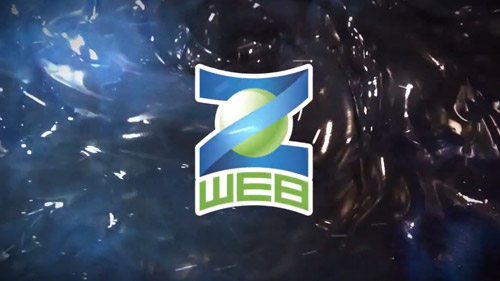 Z-WEB Surface Conditioning Product Line